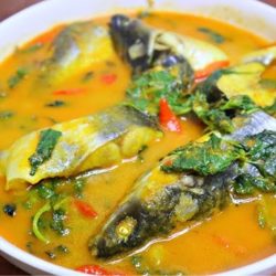 Resep Ikan Patin Bumbu Kuning dengan dan Tanpa Santan, Auto Nasi Nambah Terus