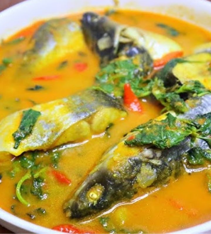 Resep Ikan Patin Bumbu Kuning dengan dan Tanpa Santan, Auto Nasi Nambah Terus