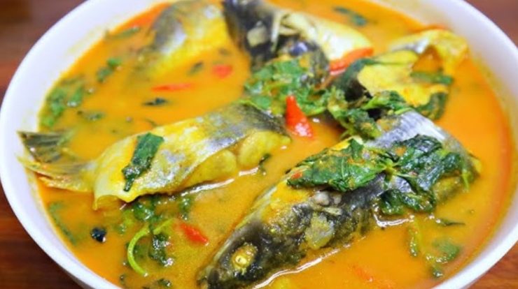 Resep Ikan Patin Bumbu Kuning dengan dan Tanpa Santan, Auto Nasi Nambah Terus